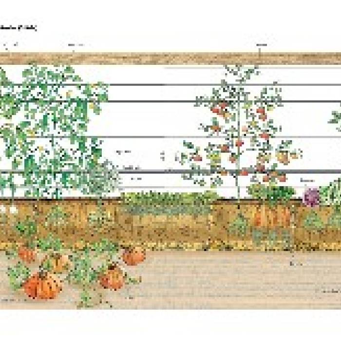 Teaser image for Straw Bale Garden Installation