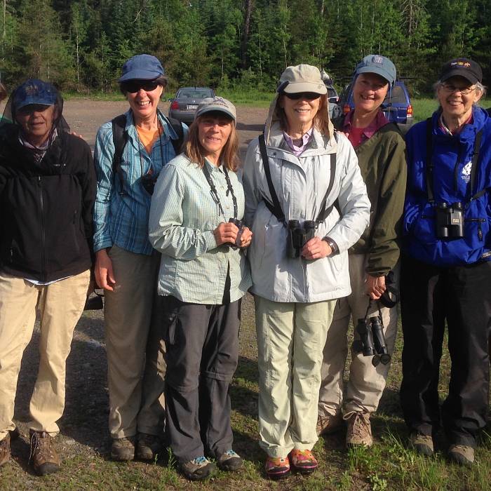 Teaser image for Birding by Ear: Searching for Fall Migrants