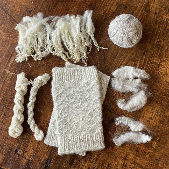 Teaser image for Handspinning Yarn: Unraveling Woolen and Worsted Textures
