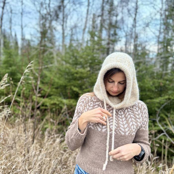 Teaser image for The Sister Hood: A Knitting Skill Builder