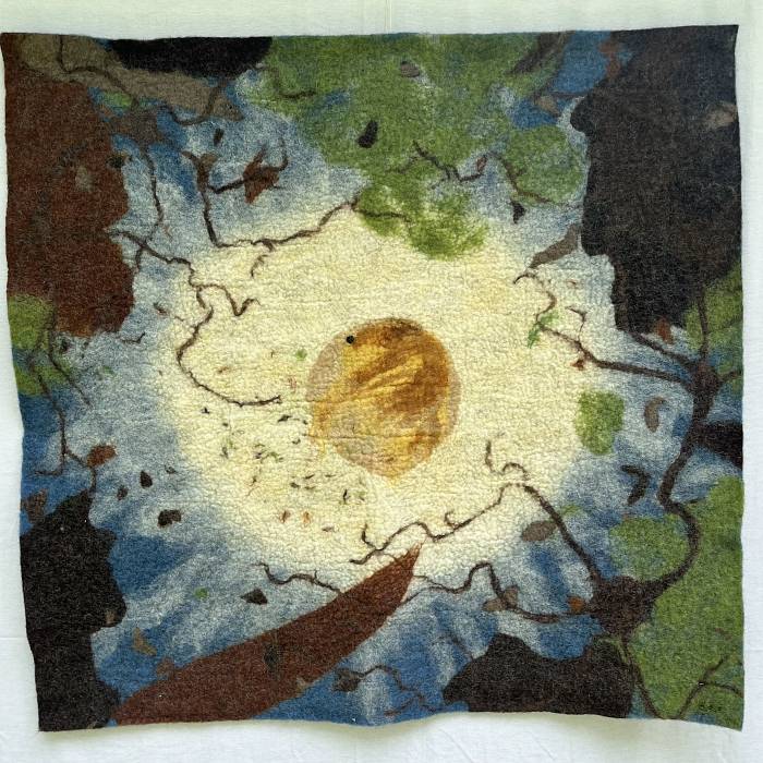 Teaser image for Phenology and Art in Feltmaking