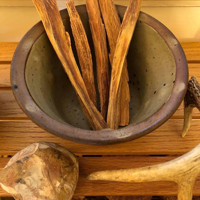 Teaser image for Mabon Medicines: Being Deeply Rooted
