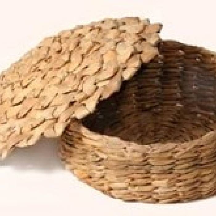 Teaser image for Cattail Basketry: Twining and Fishtail Plaiting Techniques