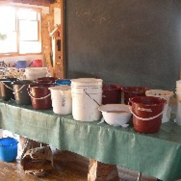 Teaser image for Natural Plant Dyes: The Winter Sessions