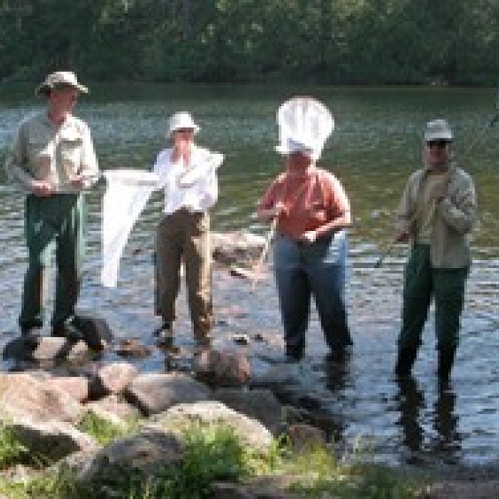 Teaser image for Dragonflies of the North Woods