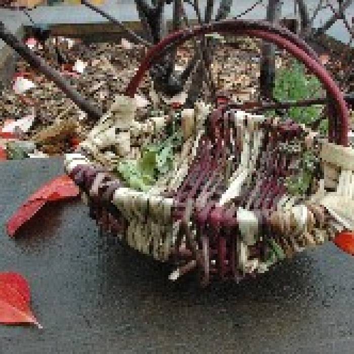 Teaser image for Boundary Waters Travel Basket Up the Trail