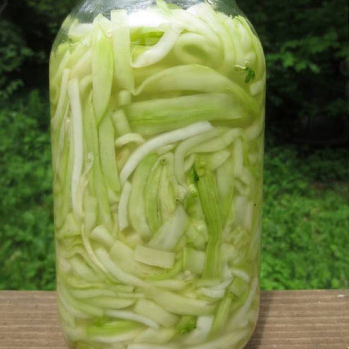 Teaser image for Exploring Fermented Foods