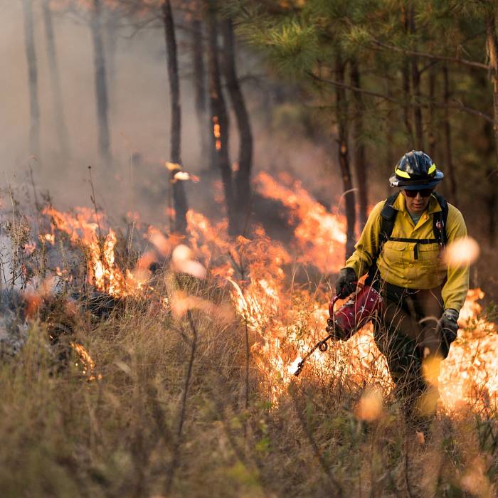 Teaser image for Healing Fire Leading to Cultural Revitalization