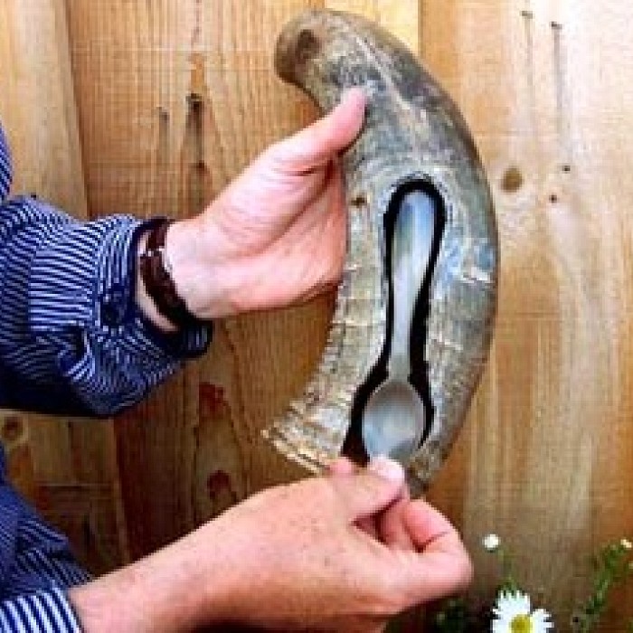 Teaser image for Hookers & Spooners: Working in Horn, Bone, Antler