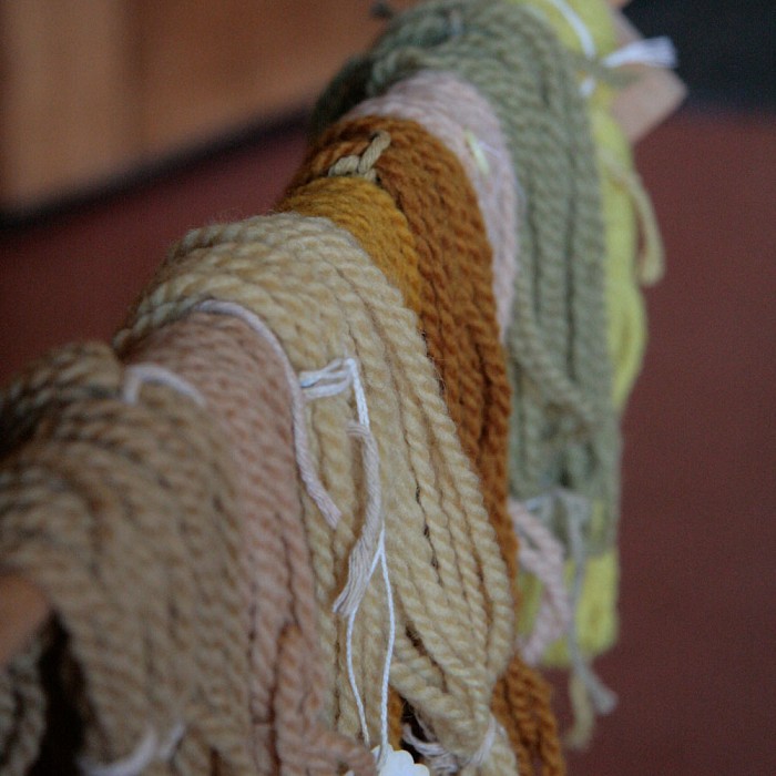 Teaser image for In Search of Color: Winter Natural Dye Workshop
