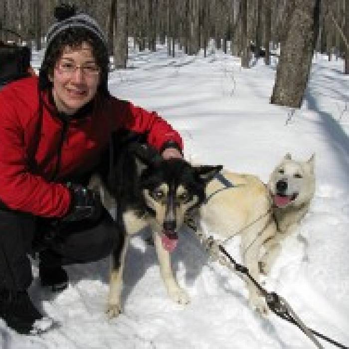 Teaser image for Dog Sledding 101