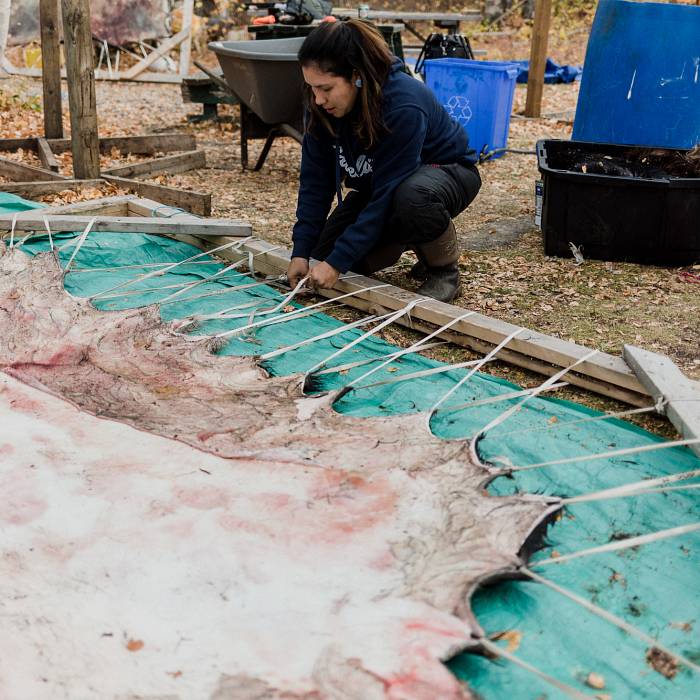Teaser image for pahkêkinohêwin: Moose Hide Tanning
