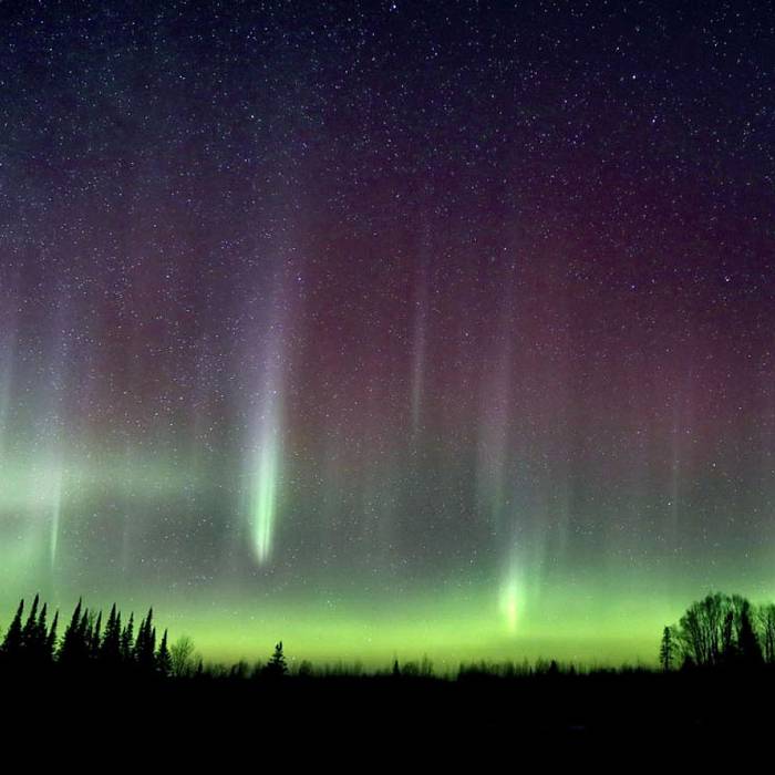 Teaser image for Comet, Eclipse and Aurora: Exploring the Night Sky Online