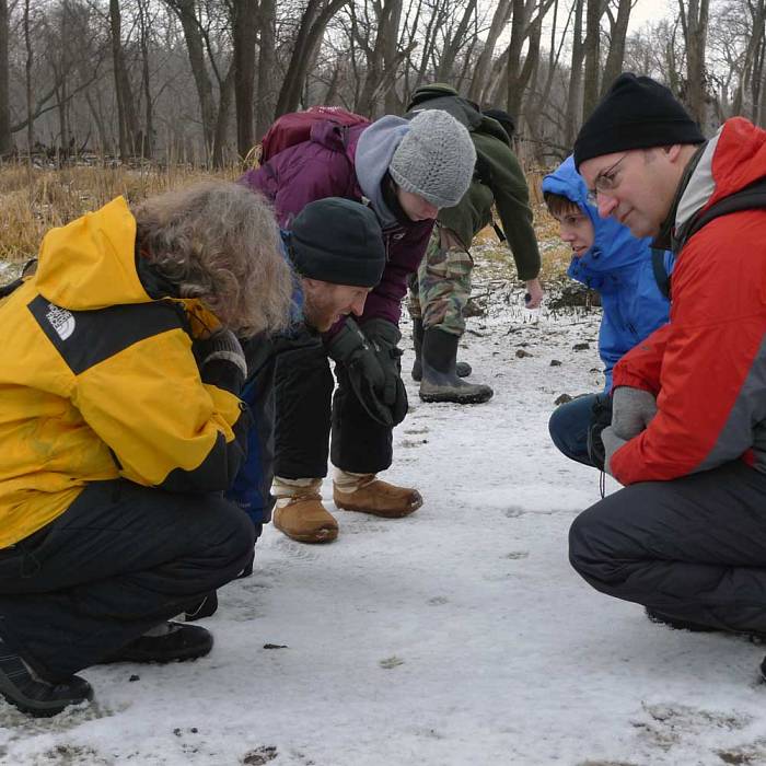 Teaser image for Winter Wildlife Tracking in the Field