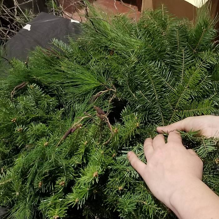 Teaser image for Holiday Wreath Making Webinar