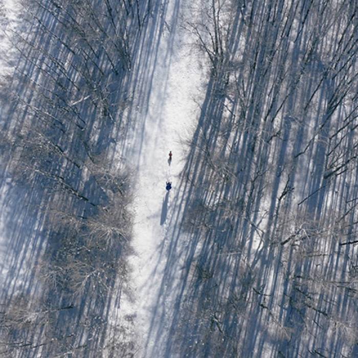 Teaser image for Arctic Film Fest 2021