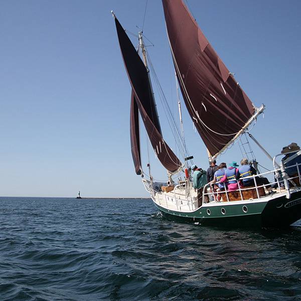 Image for